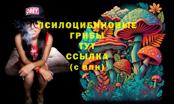 каннабис Беломорск
