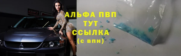 прущие грибы Белоозёрский